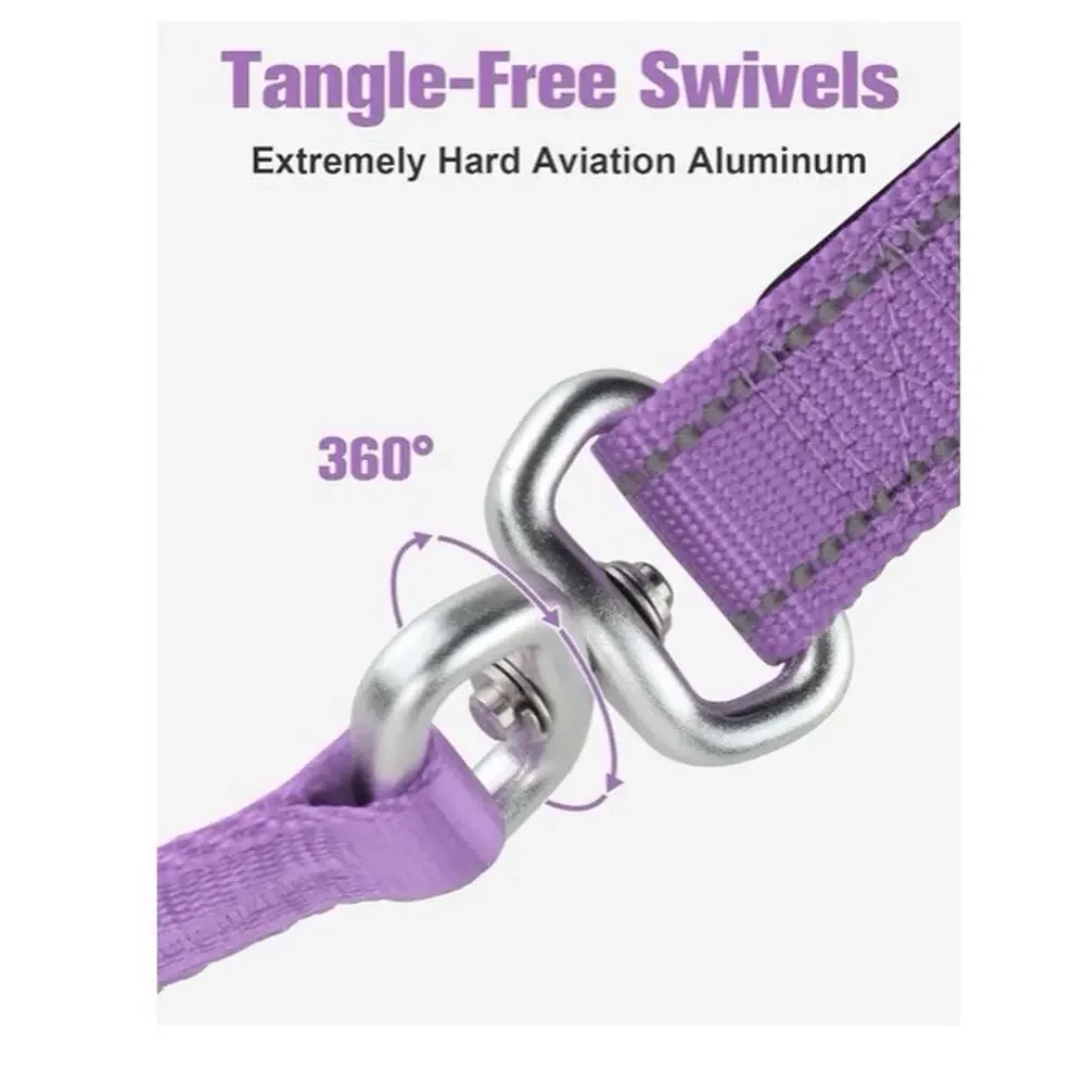 Aiyuda Tangle-Free Slip Lead 6ft Double Handle Leash for Dogs Under 40 Lbs Purpl